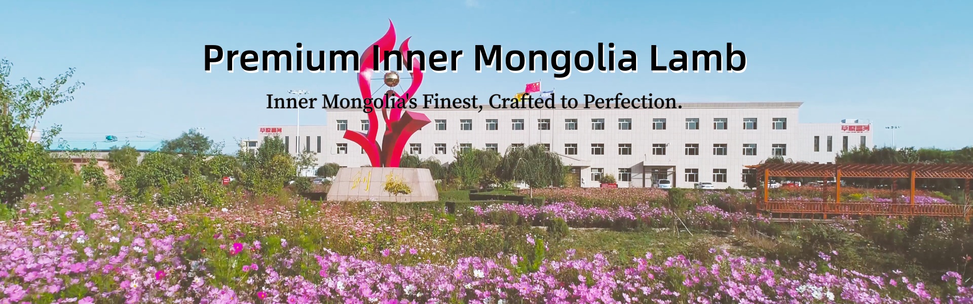 <strong>Website compliance, choose Mituo</strong>