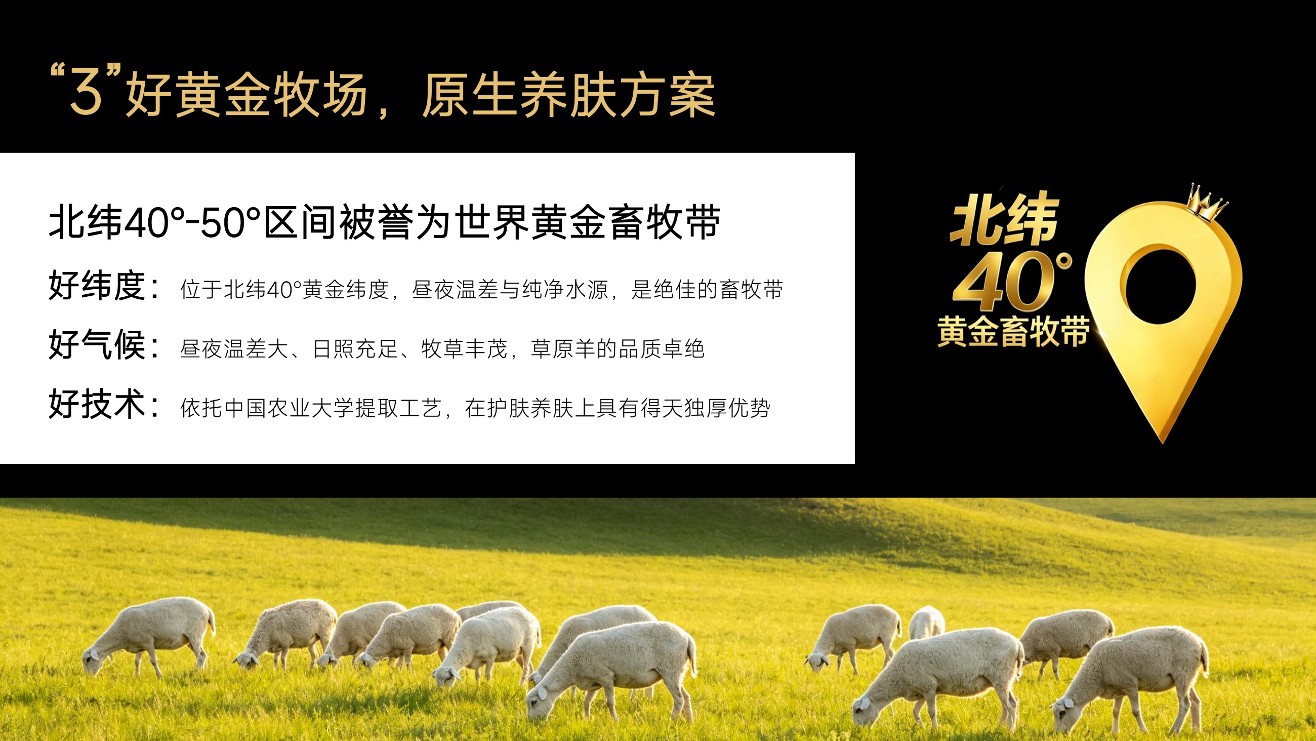 草原鑫河