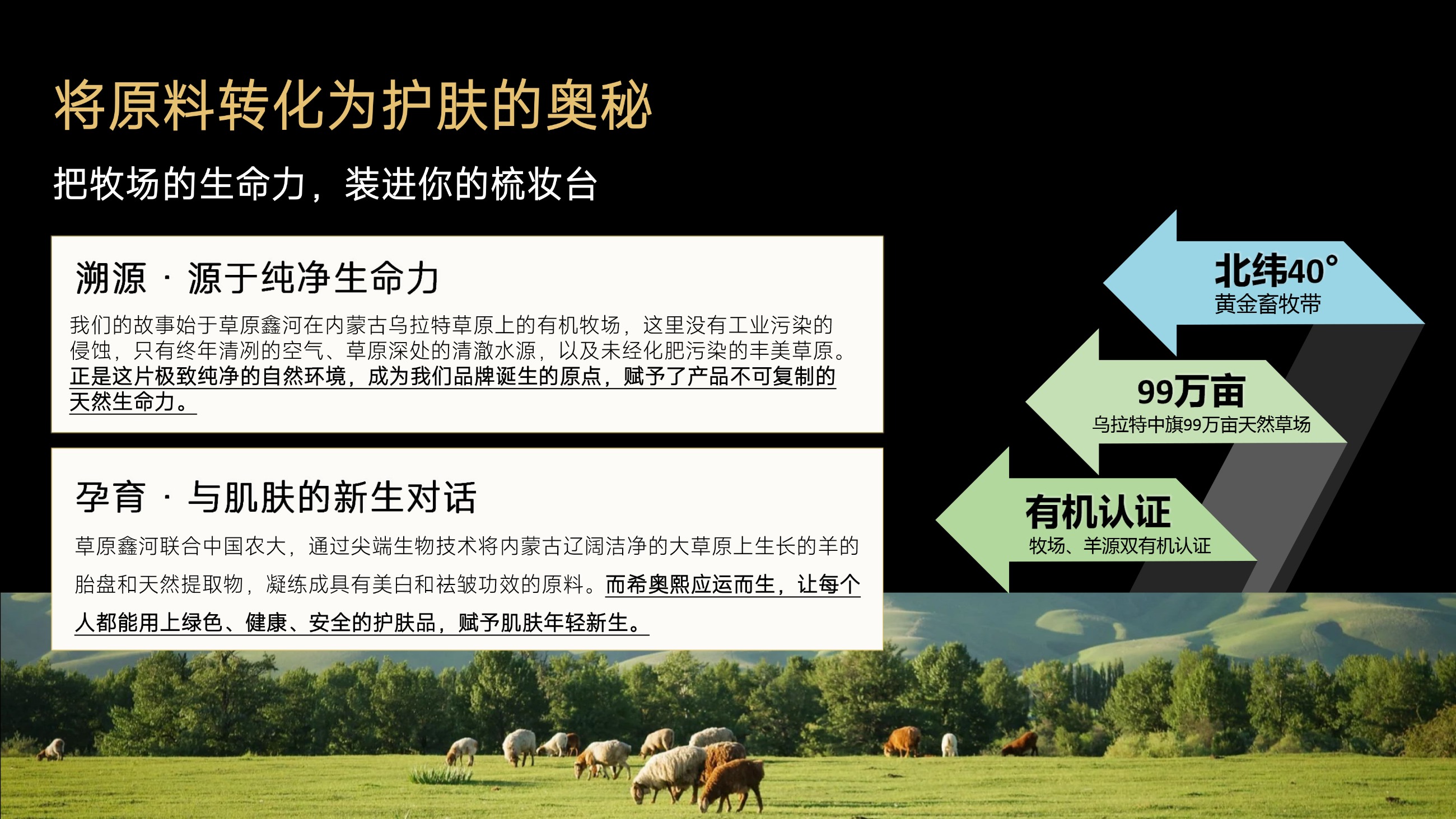 草原鑫河