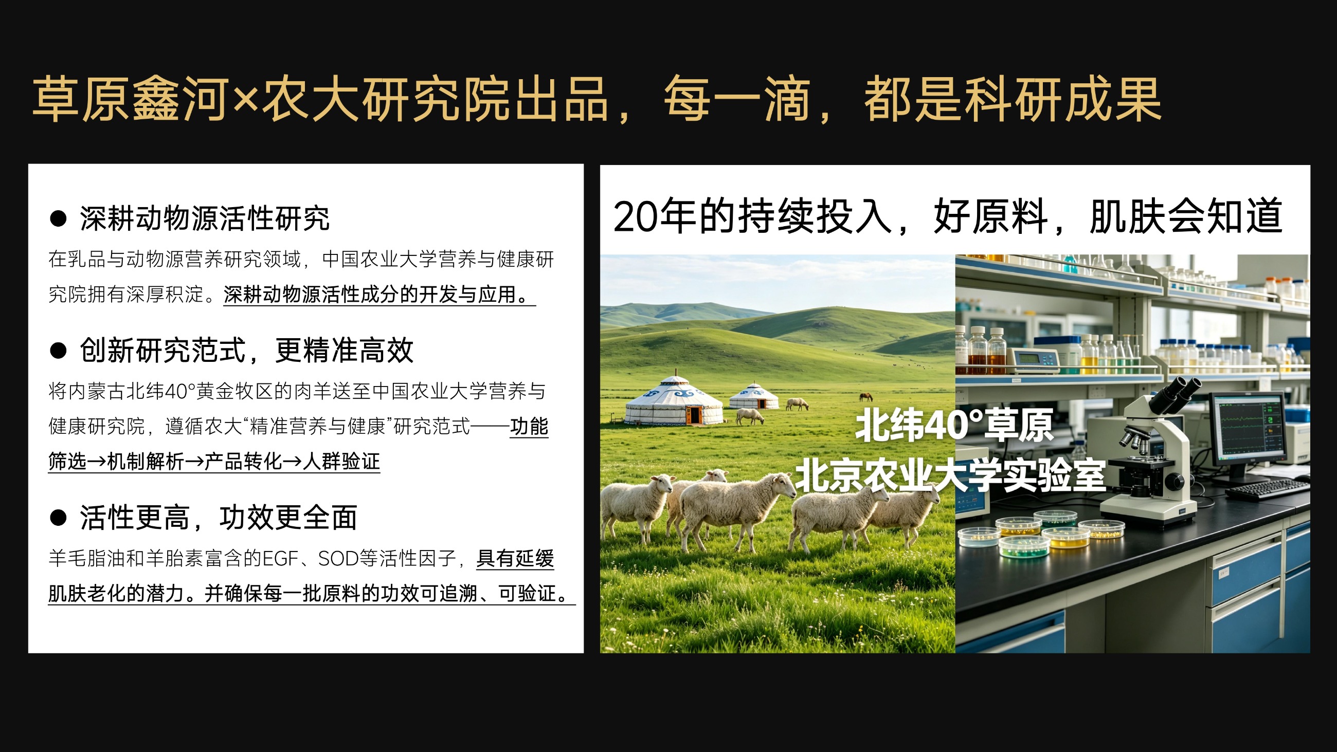 草原鑫河