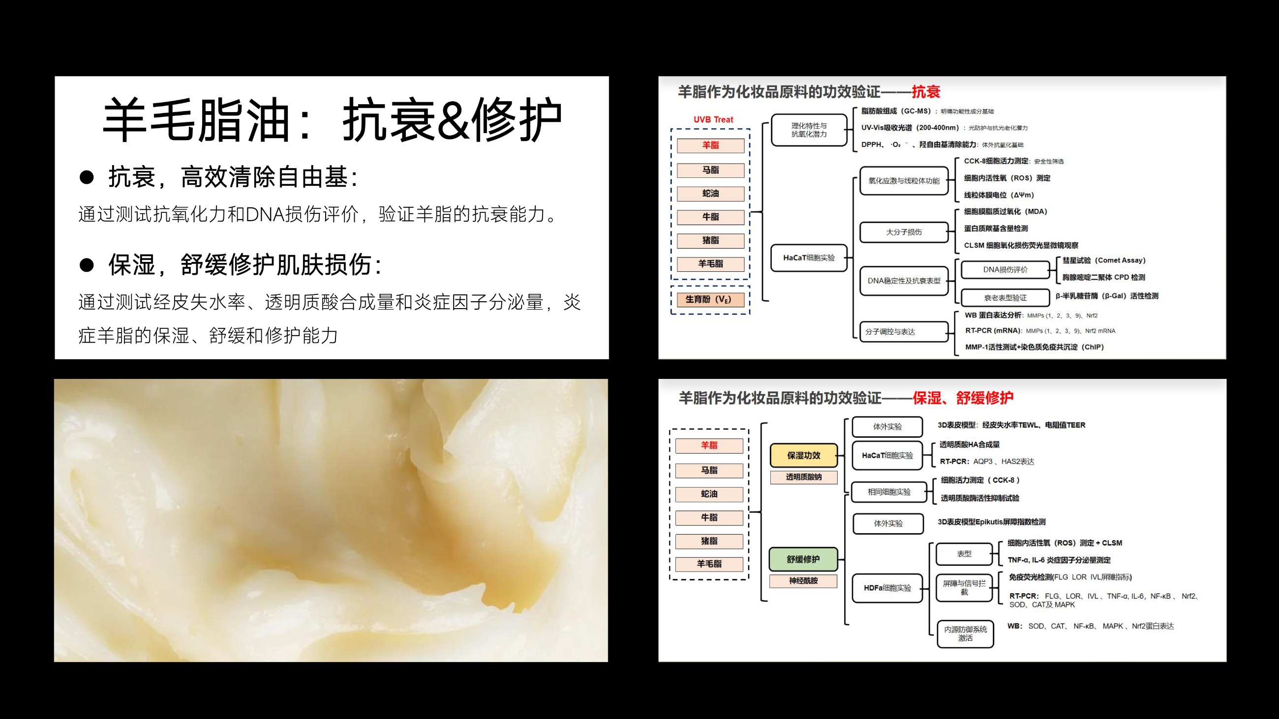 草原鑫河