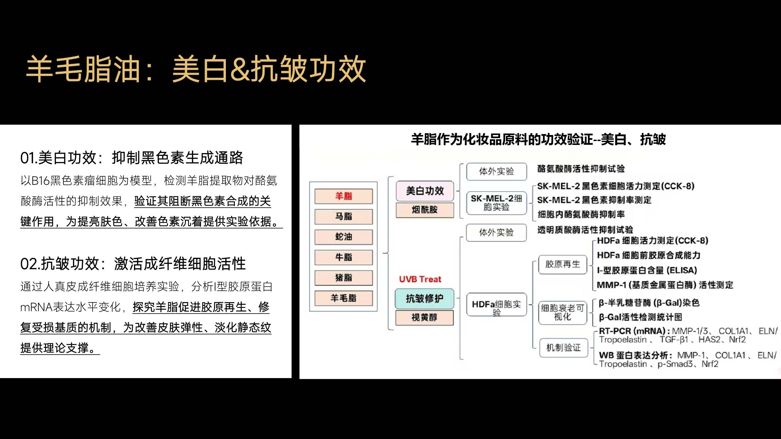 草原鑫河